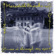 See It Through My Eyes cover