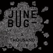 A Thousand Days