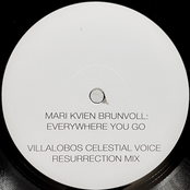 Everywhere You Go: Villalobos Mixes