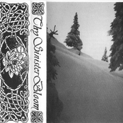 Thy Temperate Veil / A Vanity Lost