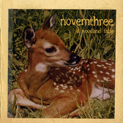 A Woodland Fable