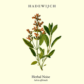 Herbal Noise