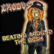 Beating Around the Bush