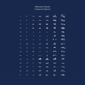 Mammal Hands – Captured Spirits