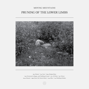 Pruning Of The Lower Limbs