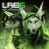 Reflections of You