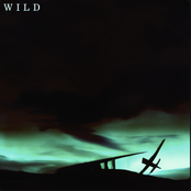 Wild