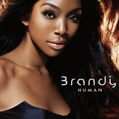 Human cover