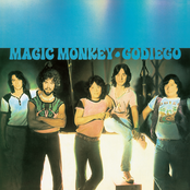 Magic Monkey