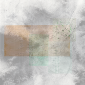 Veiled State