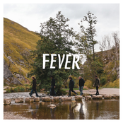 Fever