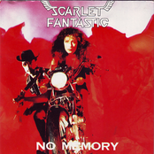 No Memory cover