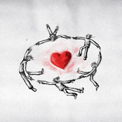 The Lovers Freefall