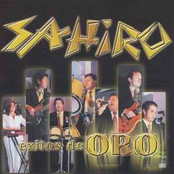 Exitos De Oro