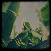 Plátano Tapes