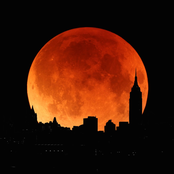 I Am The Moon, Walk All Over Me