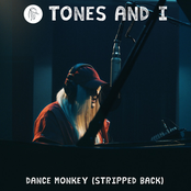 Dance Monkey (Stripped Back) cover