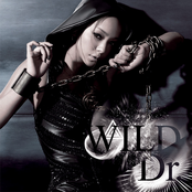 WILD / Dr. cover