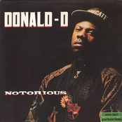 Notorious