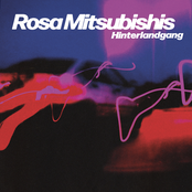 Hinterlandgang – Rosa Mitsubishis