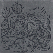 Svarte Skoger