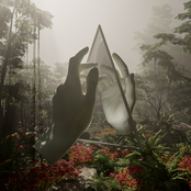 Paradises cover