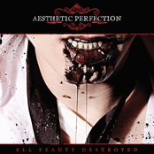 Aesthetic Perfection – All Beauty Destroyed