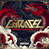 Year Of The Dragon