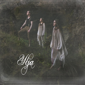 Ylja