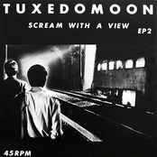 Scream with a View