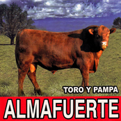 Toro Y Pampa