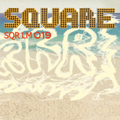 SQR LM 019