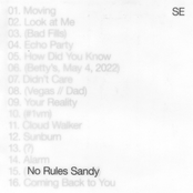 No Rules Sandy cover