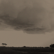 Stormgarden