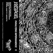 Paralyzing Impermanence
