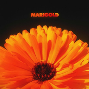 Alex Isley – Marigold