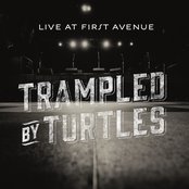 Stranger (Live)