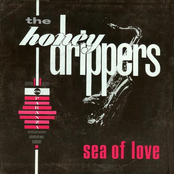 Sea of Love