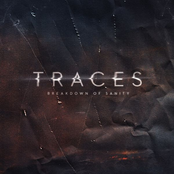 Breakdown Of Sanity – Traces