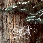 ELDERWOODS EP