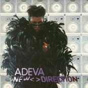 New Direction cover