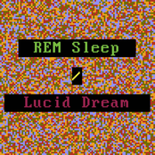 REM Sleep / Lucid Dream