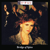 Bridge of Spies cover