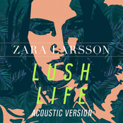 Lush Life (Acoustic Version) cover