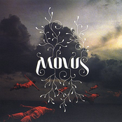 Movus