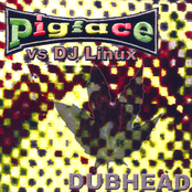 Dubhead