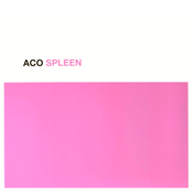 SPLEEN