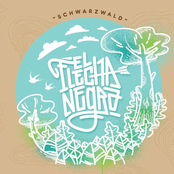 El Flecha Negra – Schwarzwald