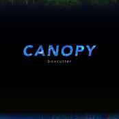 Canopy