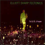 Tectonics: Field & Stream